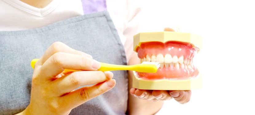 子どもが虫歯にならないために知っておきたいこと(2)ー歯みがきはいつから？どんな風に？