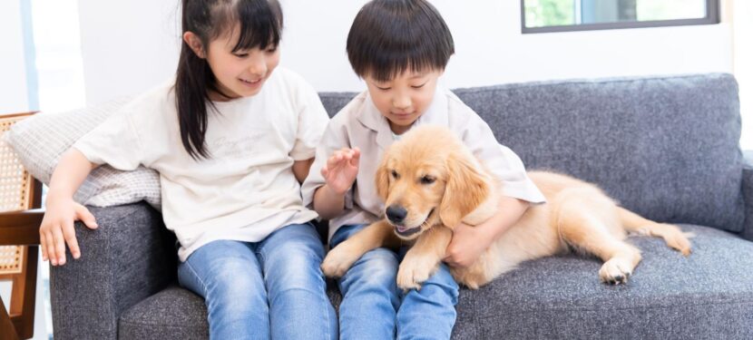 ペットを飼うとアレルギーは悪化する？ペットと子どもの体質の関係、知っておきたい本当の話